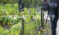 “兩高一部”發布《關于處理拒不執行判定、裁決刑事案件若干問題的定見》