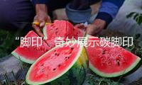 “腳印”奇妙展示碳腳印概念 中國產品碳腳印標識發布