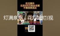 燈滿泉州，花燈燦爛(視頻)