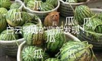 白云鄂博礦藏新發現！“氧鉛燒綠石”“獻華鈰鈮礦”初次露臉
