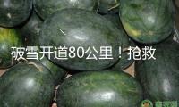 破雪開道80公里！搶救4歲幼童 高原上開出生命通道