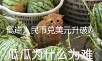 離岸人民幣兌美元升破7.23關口 改寫上一年11月底以來新高