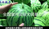全國室內田徑大獎賽蘇炳添奪冠
