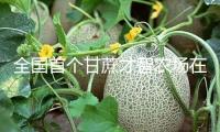 全國首個甘蔗才智農場在廣西崇左建成