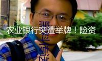 農業銀行突遭舉牌！險資持續買入