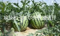 埃及和卡塔爾外長通話評論康復加沙停火協議問題