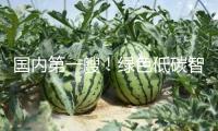 國內第一艘！綠色低碳智能甲醇雙燃料集裝箱船今天交給