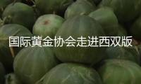 國際黃金協會走進西雙版納，“黃金書屋”看護村莊孩子閱覽夢