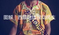 圖解｜西藏繼續推動民生工作獲得新進展