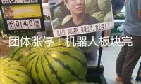 團體漲停！機器人板塊完全迸發！