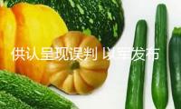 供認呈現誤判 以軍發布加沙救助車隊遭襲事情調查結果
