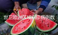 世衛歐洲區域麻疹病例數創下近30年來新高