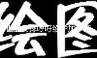 世衛安排呼吁維護加沙醫療資源并趕快完成停火