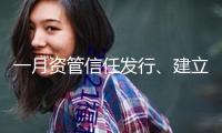 一月資管信任發行、建立市場規模下滑