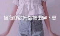 撿海鮮致拇指被擊穿？夏天趕海這些生物千萬別碰！