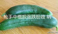 搶手中概股漲跌紛歧 納斯達克我國金龍指數收跌1.28%