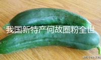 我國新特產何故圈粉全世界（評論員調查）