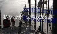杉杉股份：資料雙龍頭深陷“內憂外患”