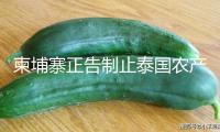 柬埔寨正告制止泰國農產品入境