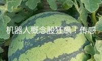 機器人概念股狂飆！傳感器成暗地“大明星”？三家公司弄清事務細節