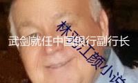 武劍就任中國銀行副行長