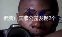 武夷山國家公園發現2個新物種