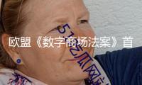 歐盟《數字商場法案》首開罰單 劍指美科技巨子獨占