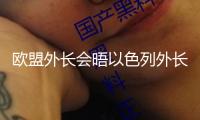 歐盟外長會晤以色列外長 呼吁停火并康復人道主義救援