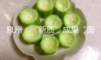 泉州：“新質”成果“國貨之光”