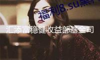 匯添富穩健收益部基金司理胡奕：當時“盈利+”仍具有出資價值