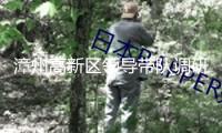 漳州高新區領導帶隊調研“開門紅”項目龍江年月暨景區景點建造作業