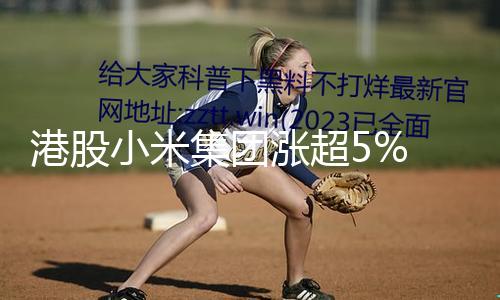 【51今日吃瓜】港股小米集團拉升走高