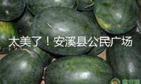 太美了！安溪縣公民廣場“花燈氣氛組”已就位
