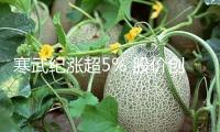 寒武紀漲超5% 股價創前史新高