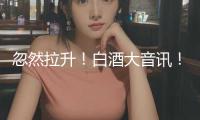 忽然拉升！白酒大音訊！白酒質量國家標準擬發布