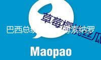 巴西總統盧拉：博索納羅涉嫌政變一案將提交至最高法院