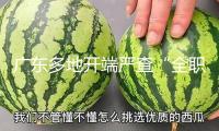 廣東多地開端嚴查“全職”順風車 有司機稱已收到罰單