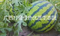 廣西打造綠色優質生態蔬菜供應地
