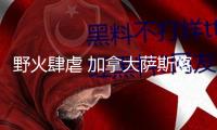 野火肆虐 加拿大薩斯喀徹溫省進入緊急狀態