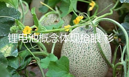 【51吃瓜大賽每日大賽10月26】鋰電中能電氣漲超12%