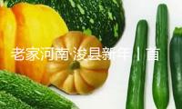 老家河南·浚縣新年丨首個非遺新年，鶴壁浚縣六大行動助力游客盡享地道我國“年味”