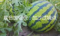 聯合國組織：加沙過境點封閉導致面粉和蔬菜價格上漲超100倍