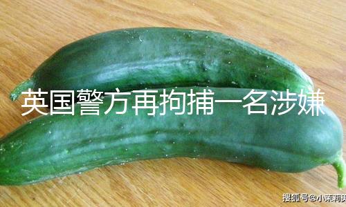 【華人黑料網】因涉嫌參加英首相住所縱火案