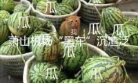 蕭山機場“黑車”沉渣泛起 記者暗訪：旅客遭層層“轉賣”