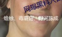 蟾蜍、毒蘑菇、野河豚成“隱形殺手” 專家提示：春季慎食野味