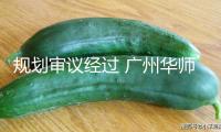 規劃審議經過 廣州華師石牌學校將煥新晉級