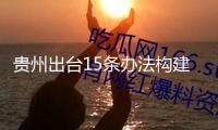 貴州出臺15條辦法構建工作公共服務“一張網”