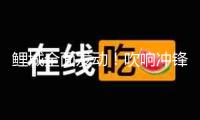 鯉城全面發動！吹響沖鋒號！