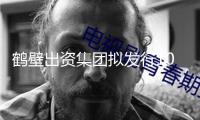 鶴壁出資集團擬發行10億元公司債獲上交所受理