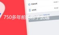 750多年前的粽子長啥樣？3D視角帶你看細節→
